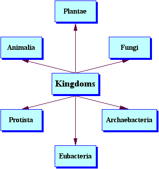 6kingdoms