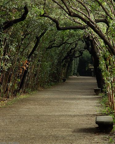 852816f35bda28d373e7acf30b159fd8