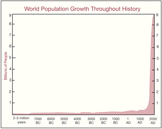 Screen Shot 2020-02-14 at 1.41.06 PM